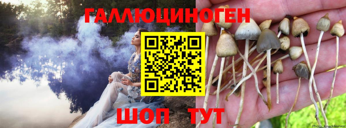 Псилоцибиновые грибы мицелий Миллерово